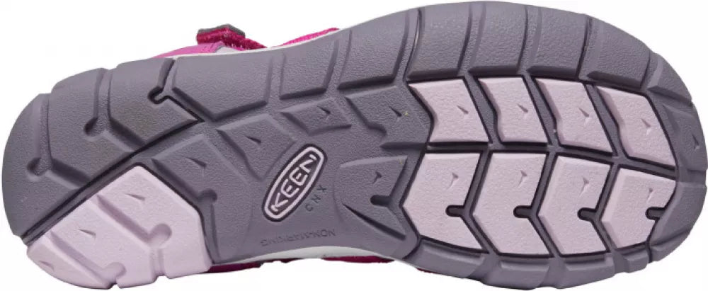 Very Berry/Lilac Chiffon