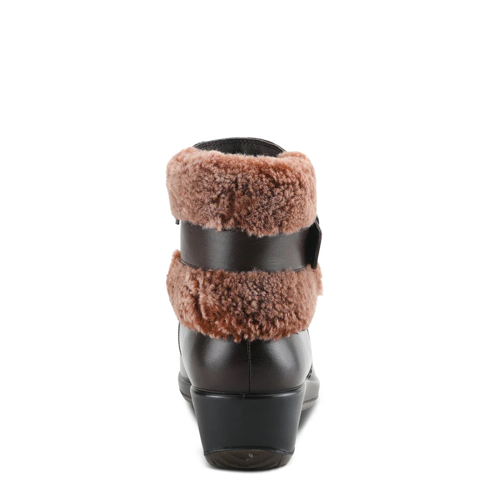 Chocolate Brown