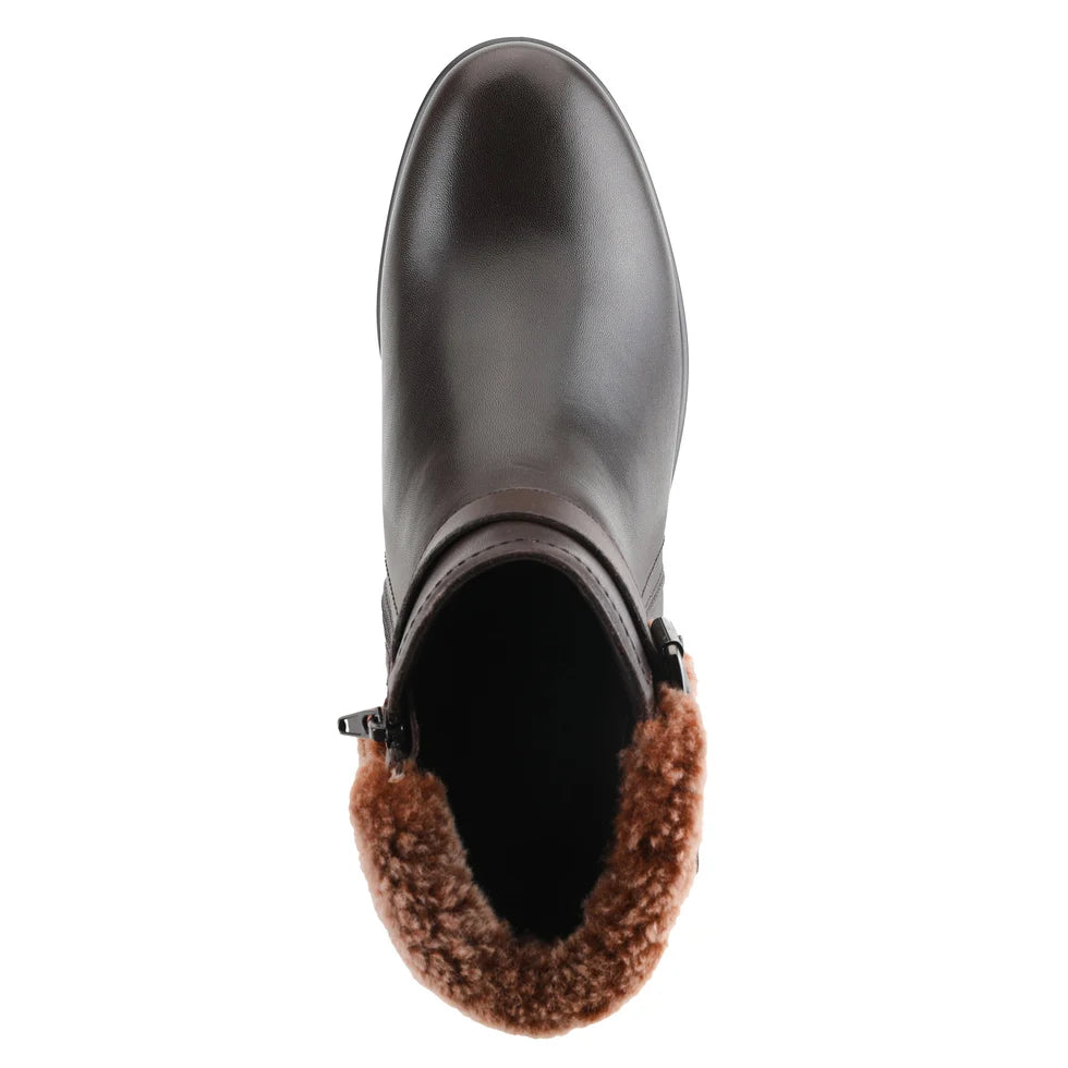 Chocolate Brown