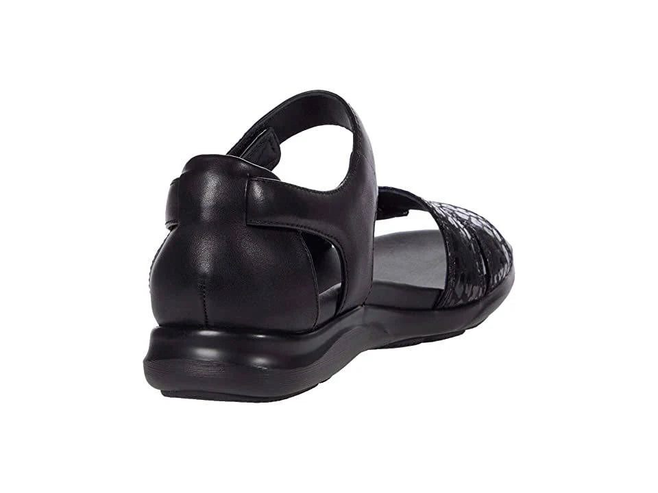 Black Combi