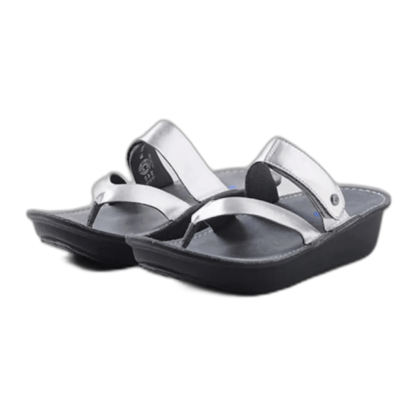 Bio are Metallic Silver