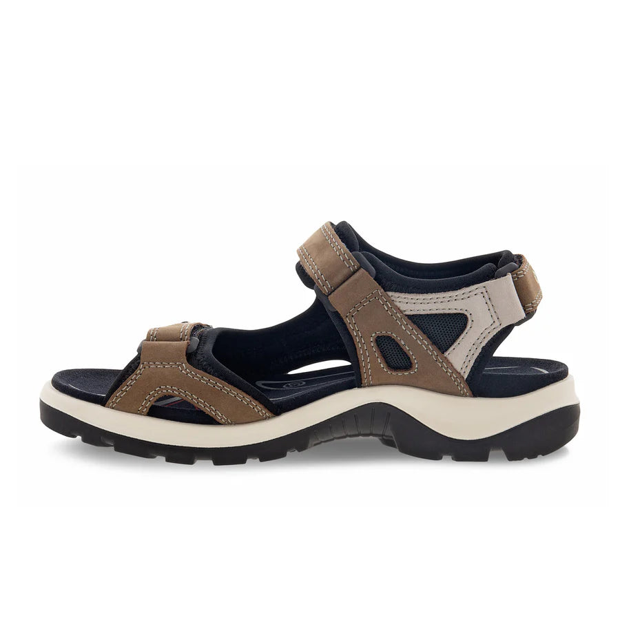 Birch (Dark Brown)