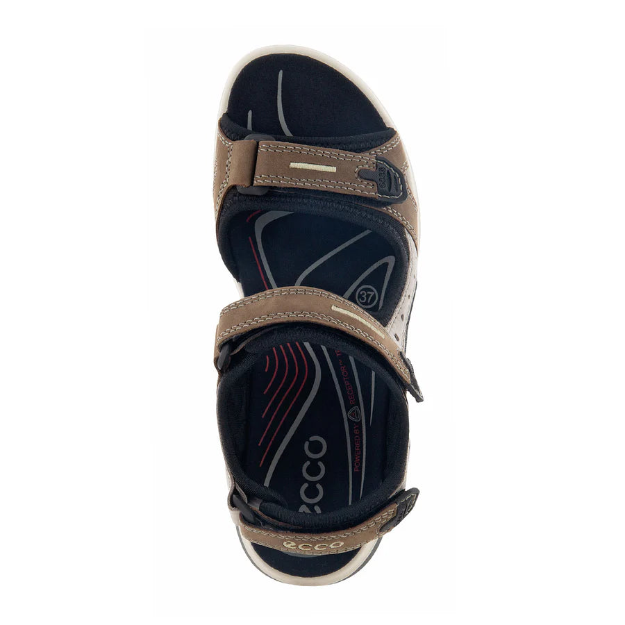 Birch (Dark Brown)
