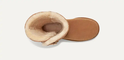 Chestnut