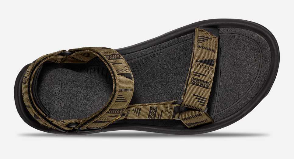 Chara Dark Olive
