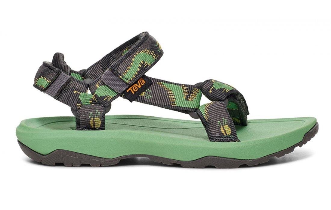 Centipede Vibrant Green