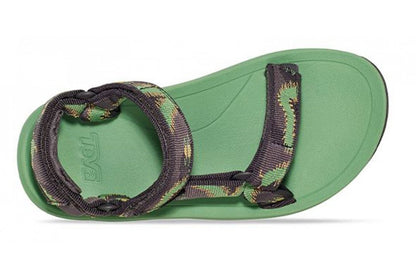 Centipede Vibrant Green