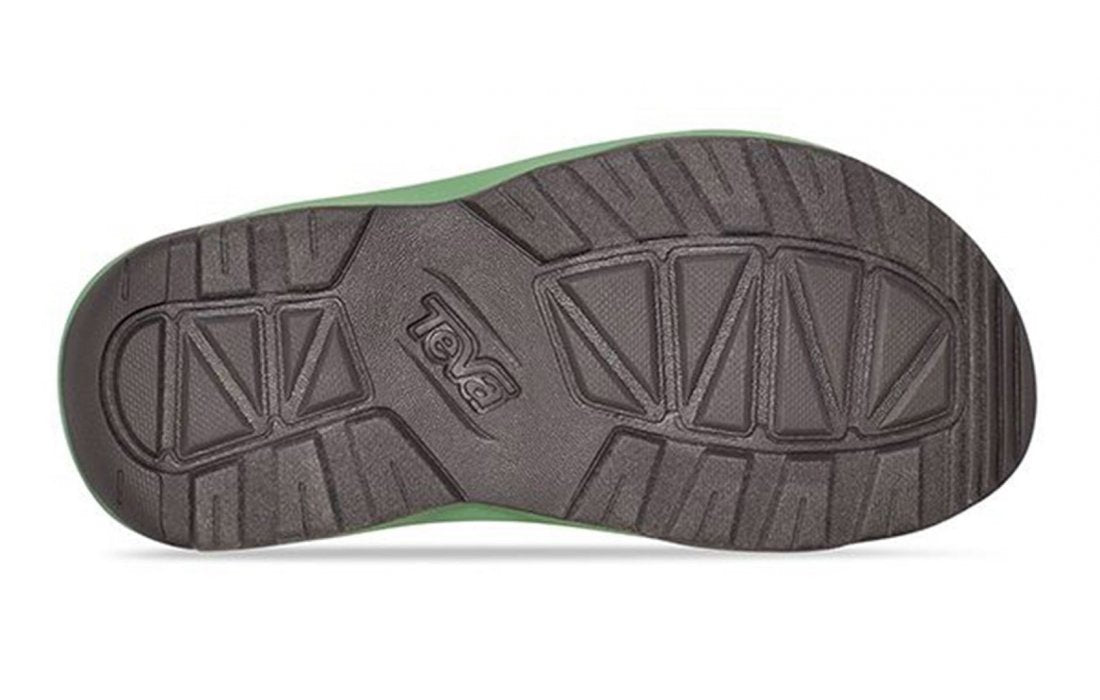 Centipede Vibrant Green