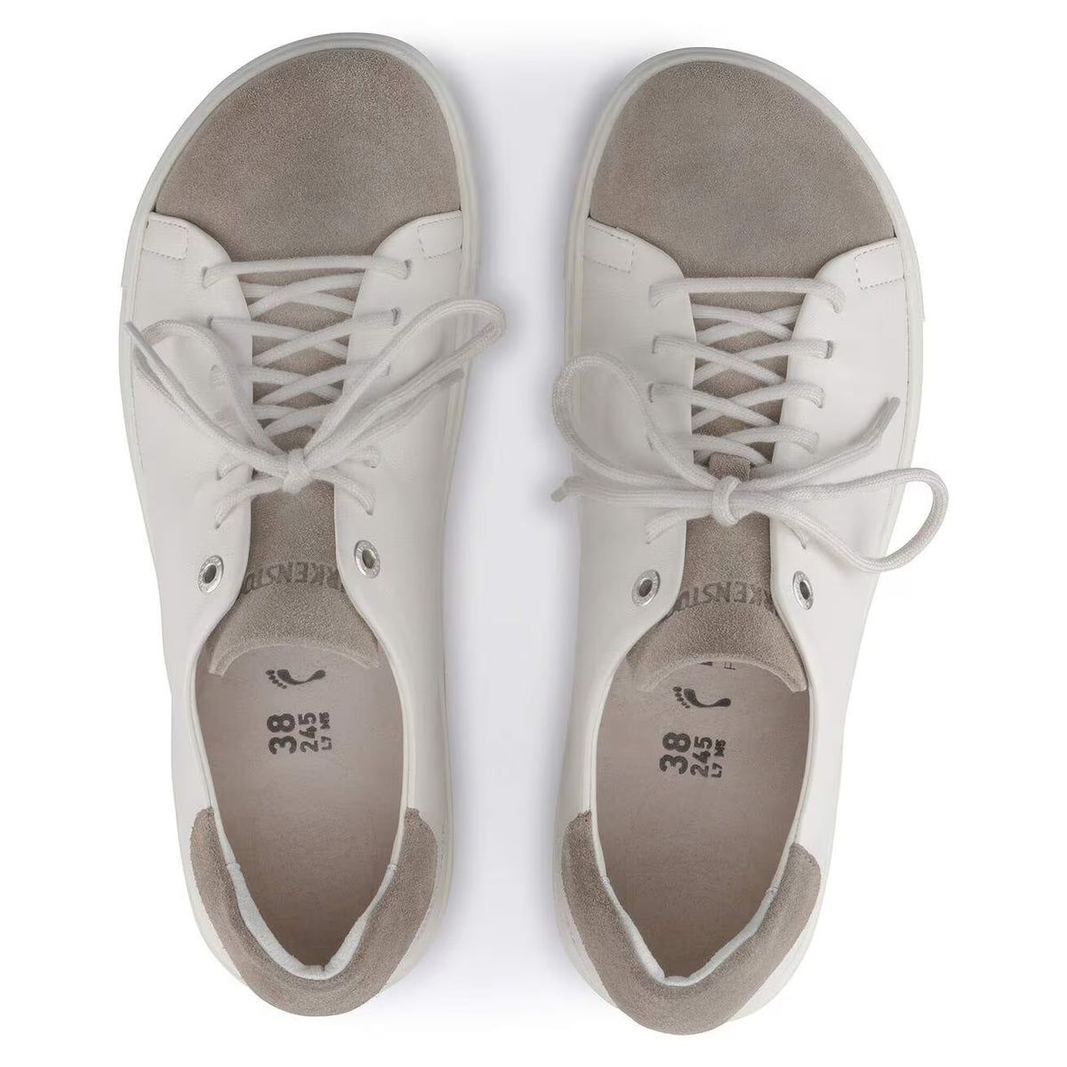 Taupe/Eggshell