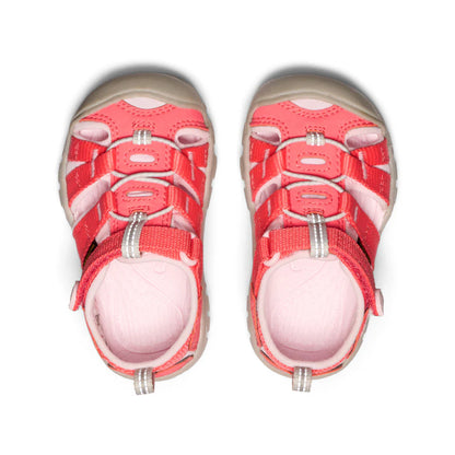 Dubarry/Giggle Pink