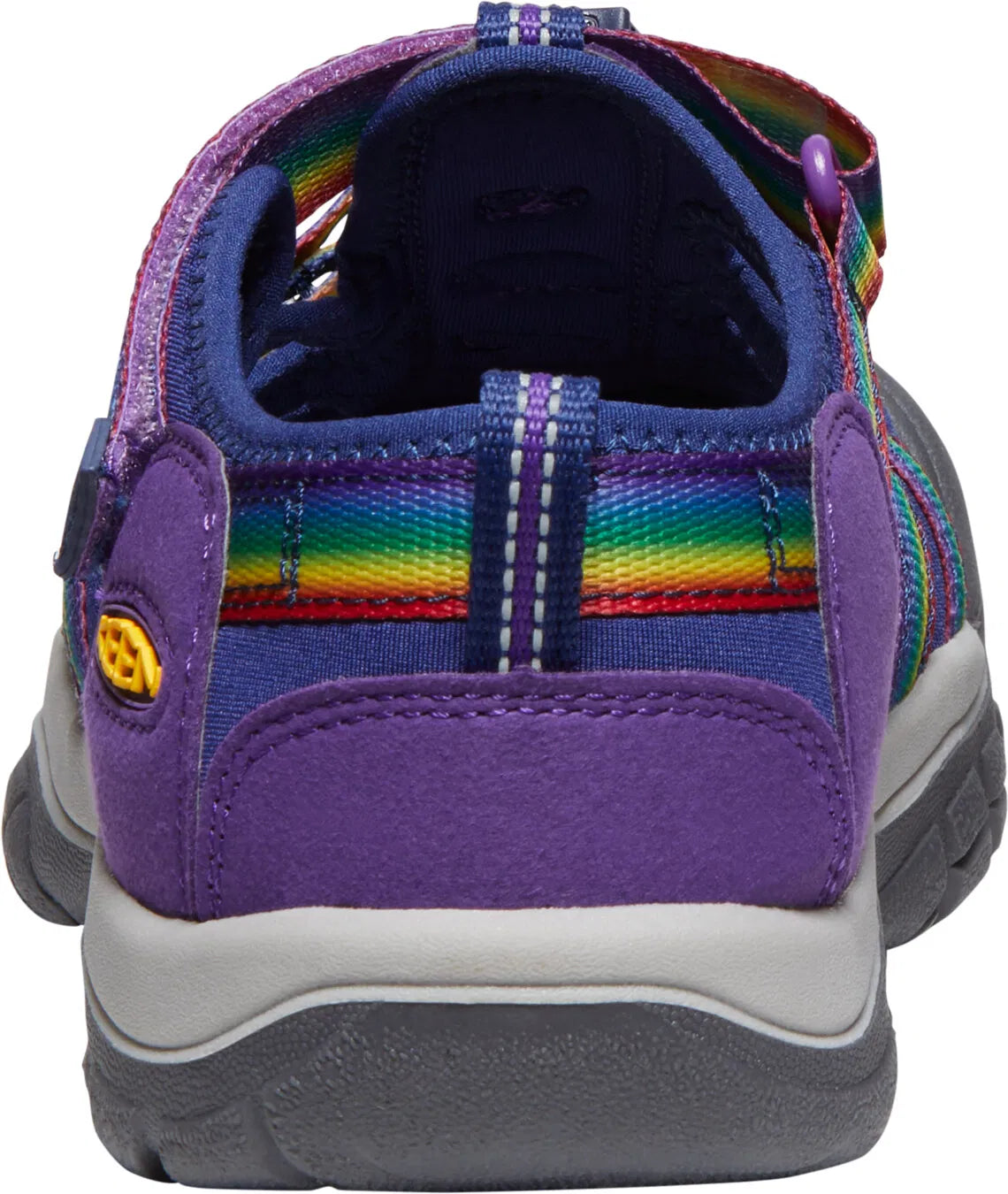 Multi/Tillandsia Purple