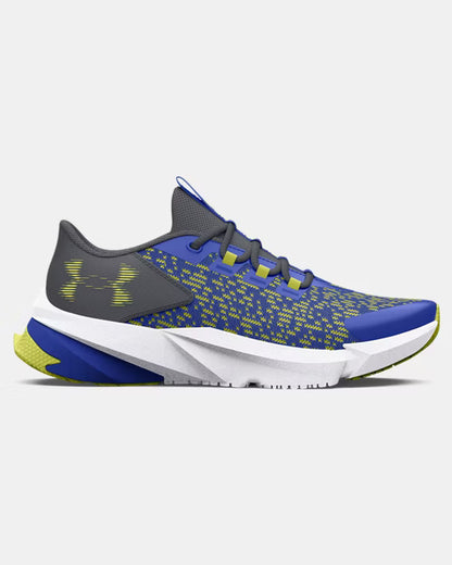 Blue/Grey