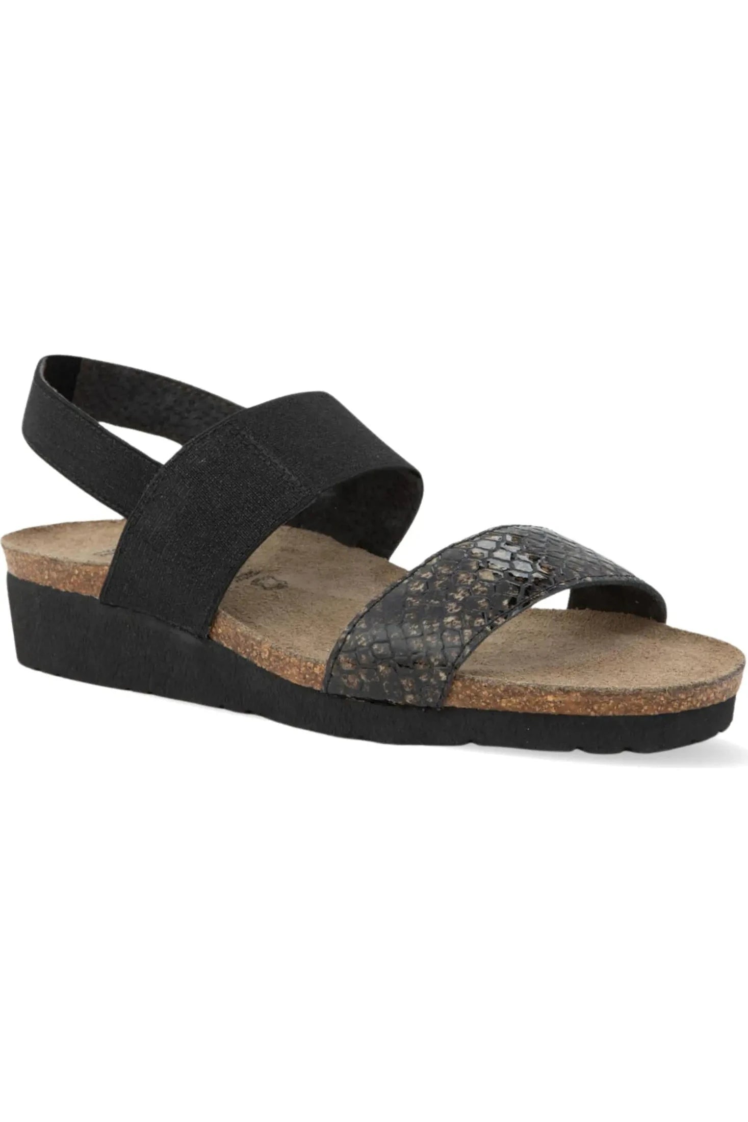 Black Reptile Patent