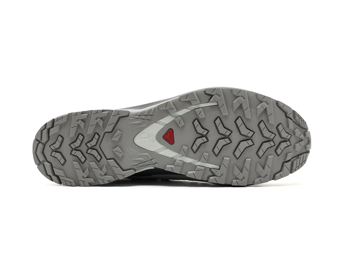 Alloy/Castlerock/Lunar Rock