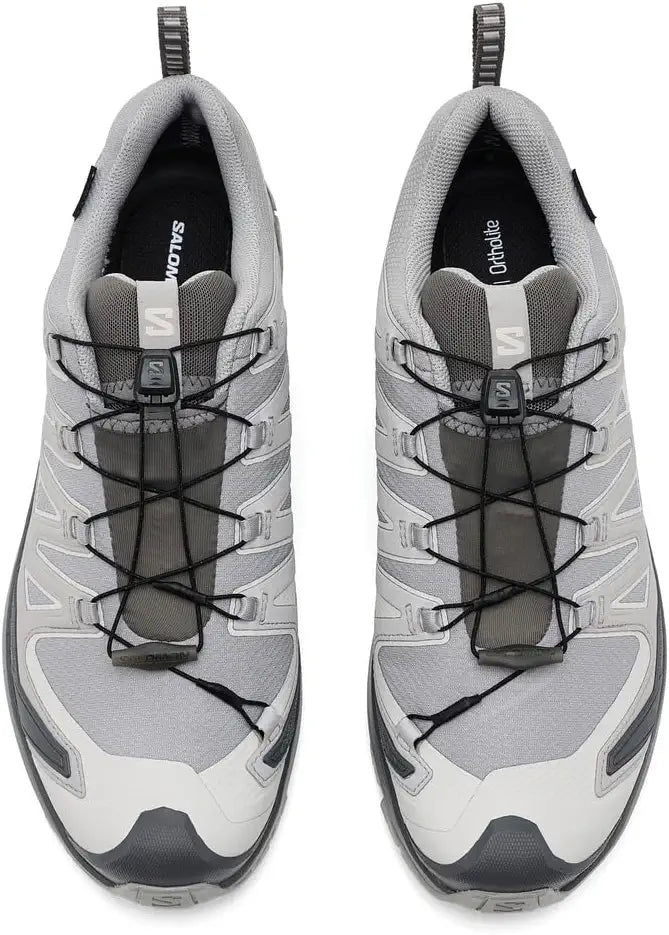 Alloy/Castlerock/Lunar Rock