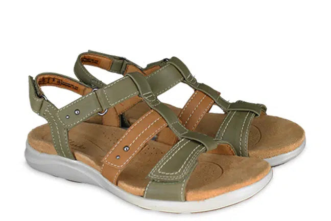 Olive Combination 