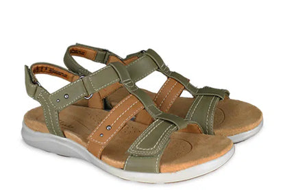 Olive Combination 