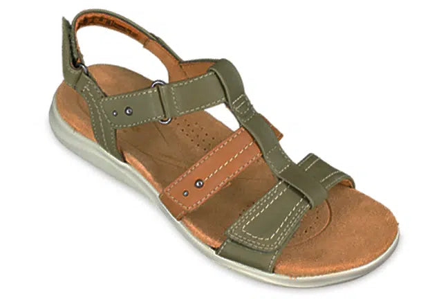 Olive Combination 