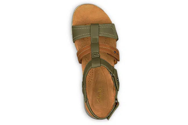 Olive Combination 