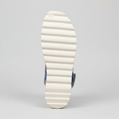 Silver/Blue Pat