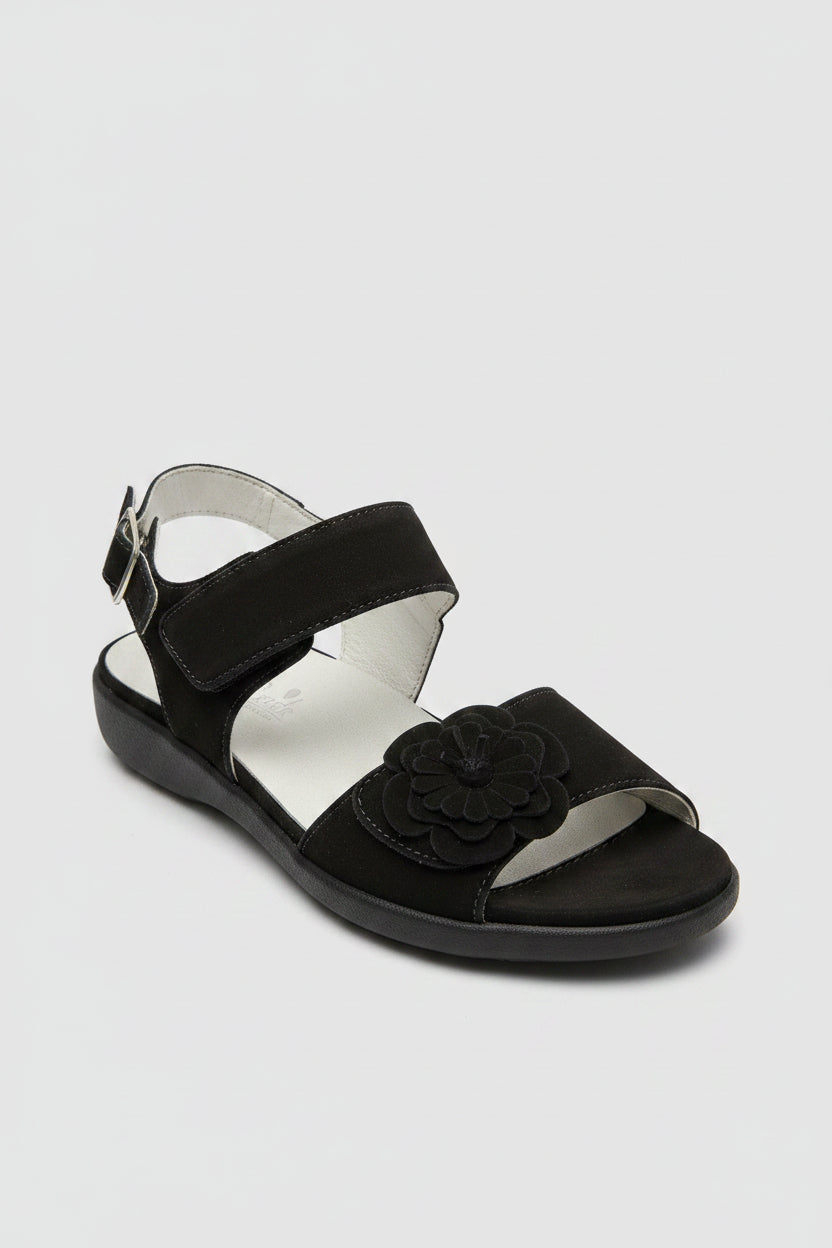 Black/Nubuck