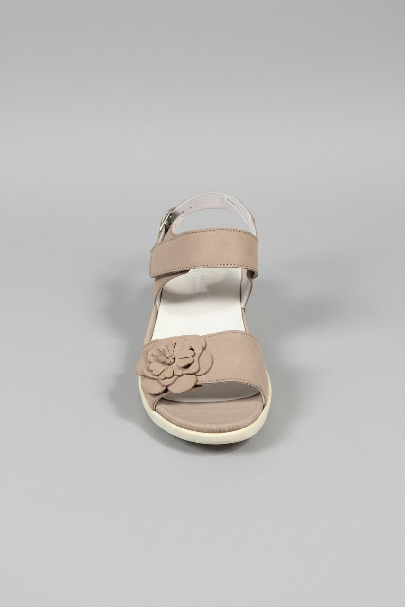 Cappucino/Nubuck