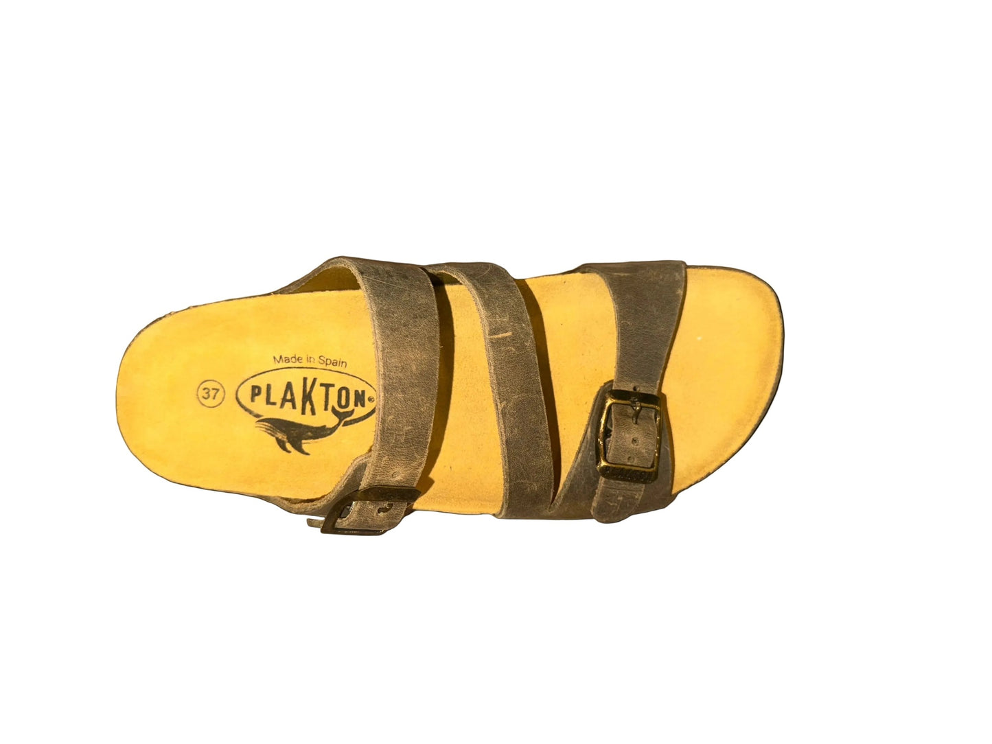 Kaki 731-X