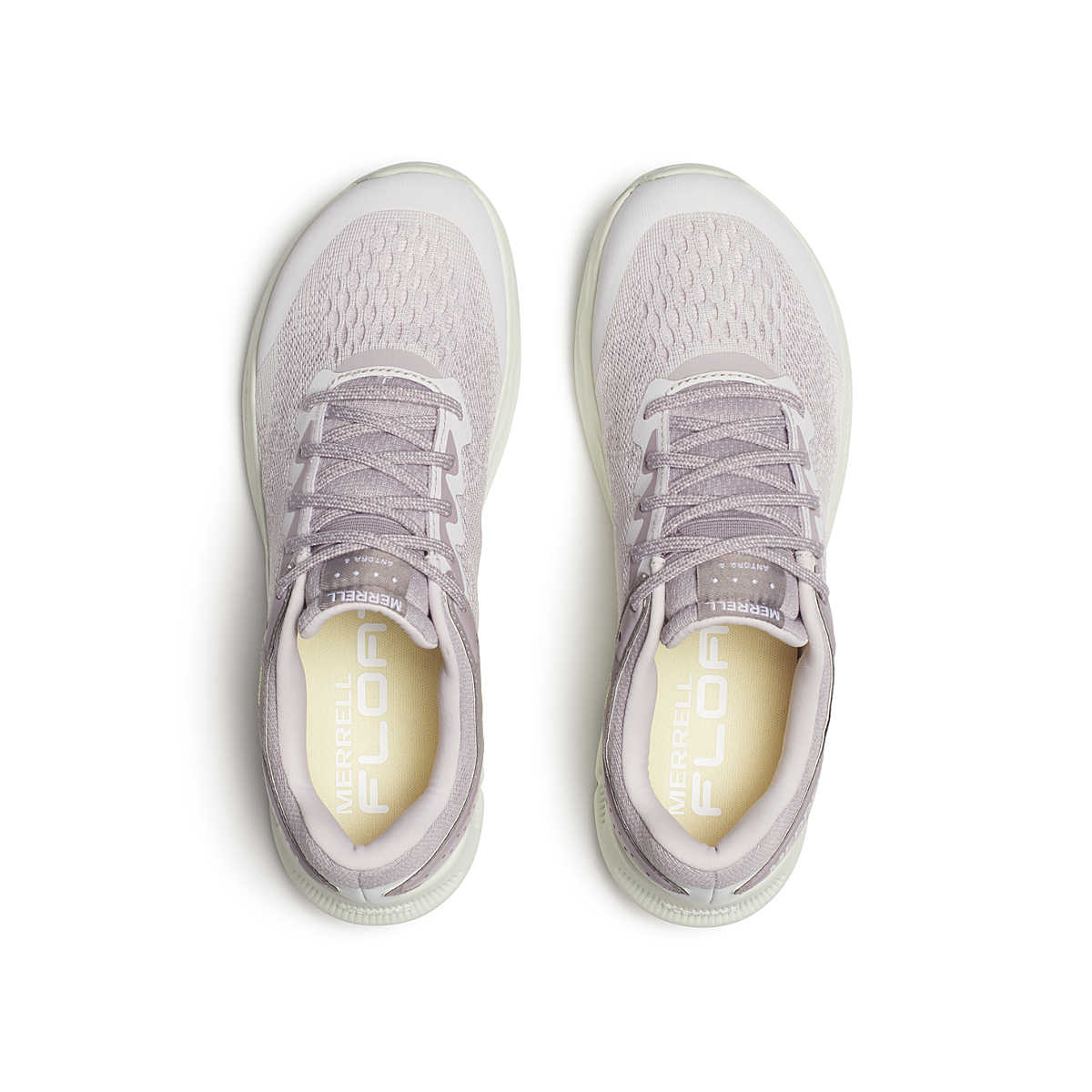 Lilac Mist