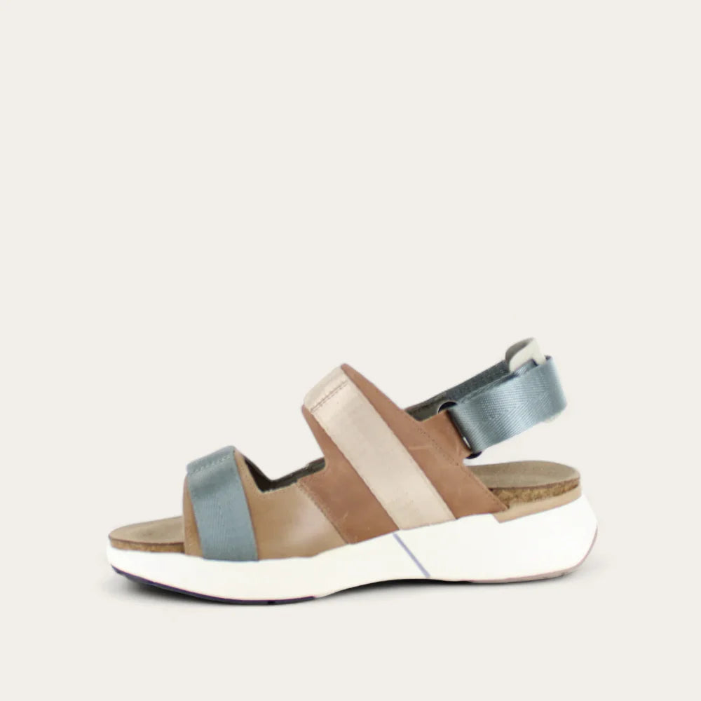 Arizona Tan Latte Brown Soft Ivory