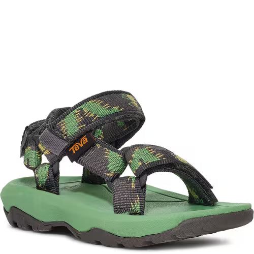 Centipede Vibrant Green