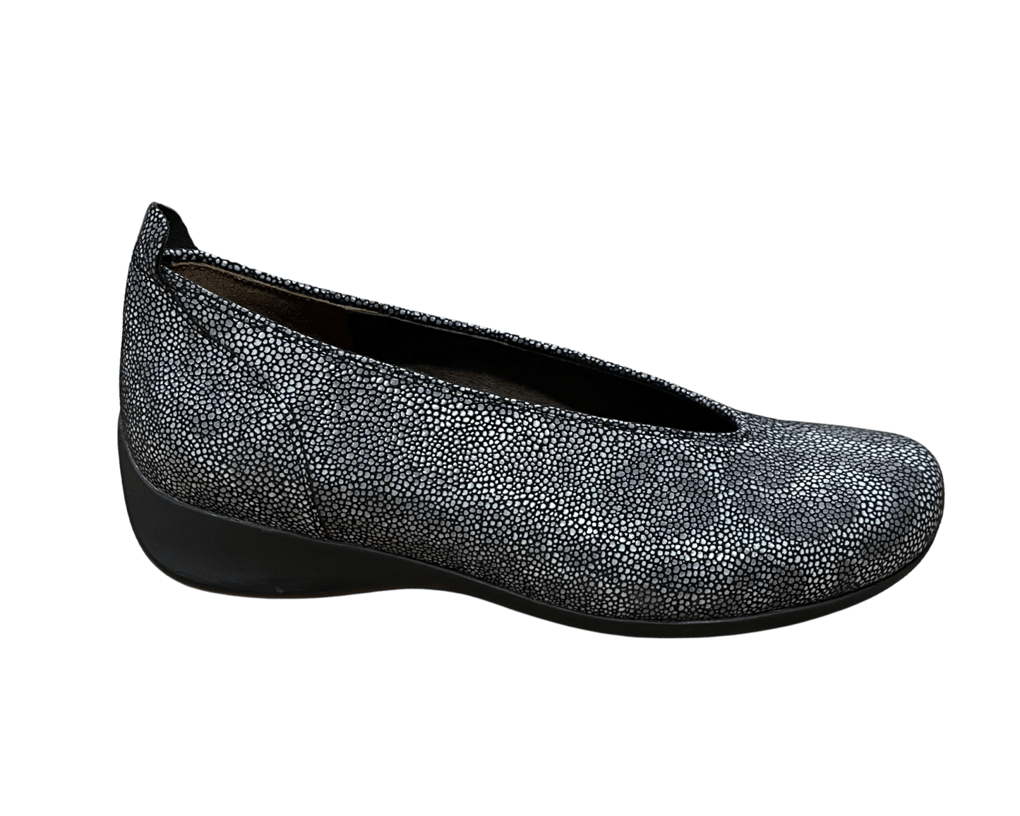 Black Python