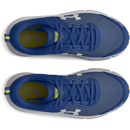 Blue/Yellow