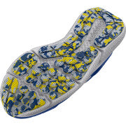 Blue/Yellow